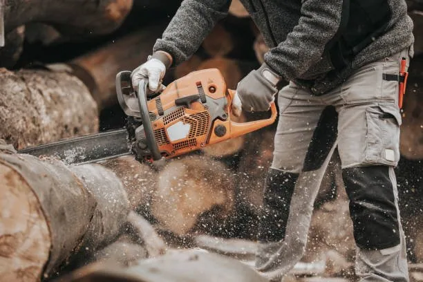 Tree Removal Auckland for property rentals