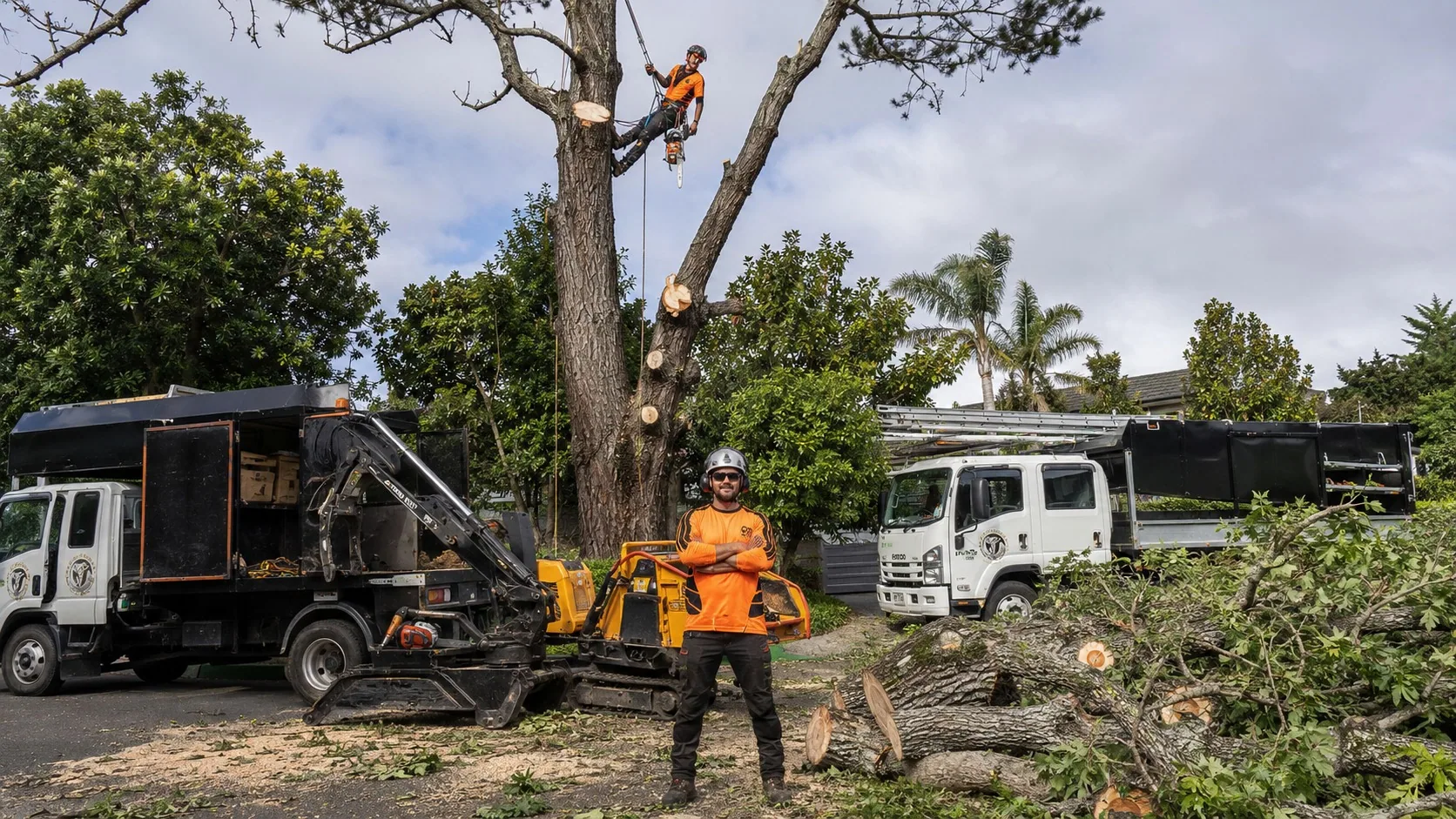Tree removal crew, trucks and chipper set up on a West Auckland street